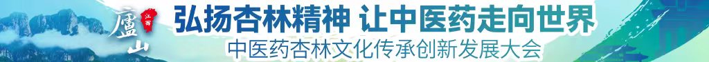 大吊日嫩比中医药杏林文化传承创新发展大会